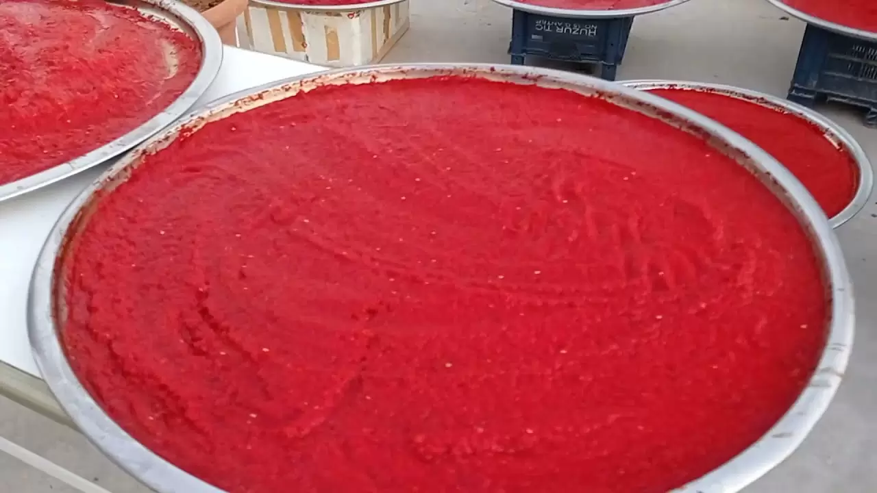 Gaziantepli köylüler de uyguluyor; Salçanın küf yapmasını ve bozulmasını önlüyor 2