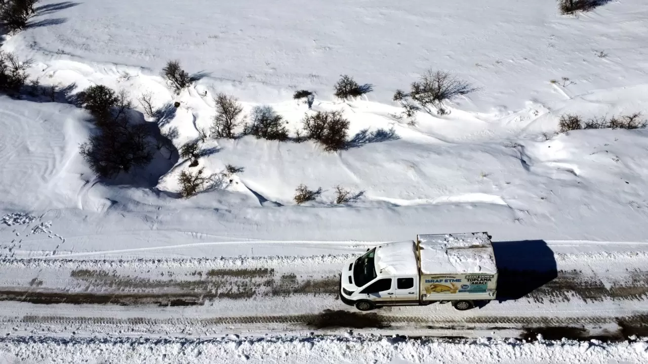 Elazığ’da kar altında hayvanlara destek seferberliği: Sokaklar mama dolu! 10