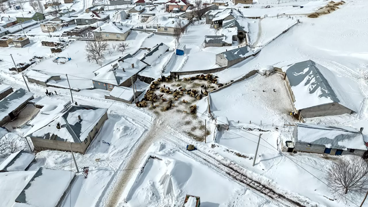 Süphan Dağı eteğinde kar hayatı zorluyor: Köylüler kara karşı mücadele ediyor 7