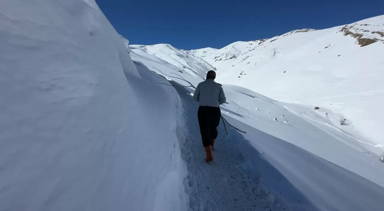 Yüksekova'da besicilerin kış mücadelesi devam ediyor 2