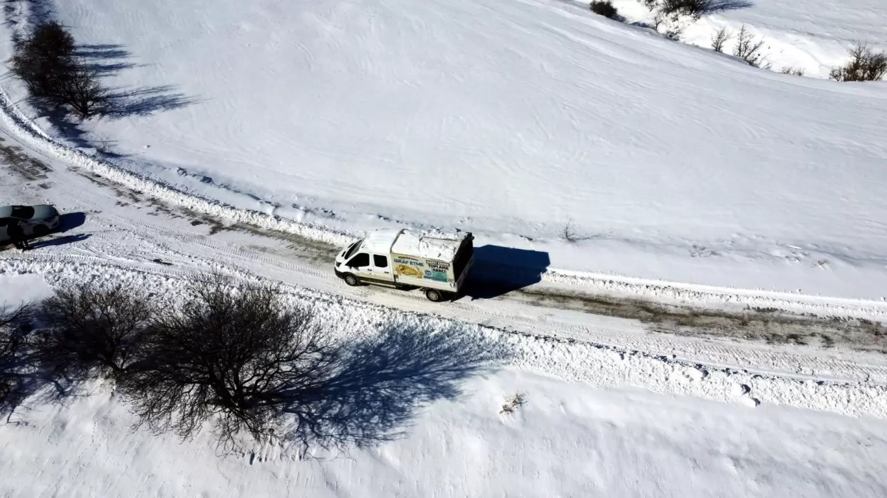 Elazığ’da kar altında hayvanlara destek seferberliği: Sokaklar mama dolu! 12
