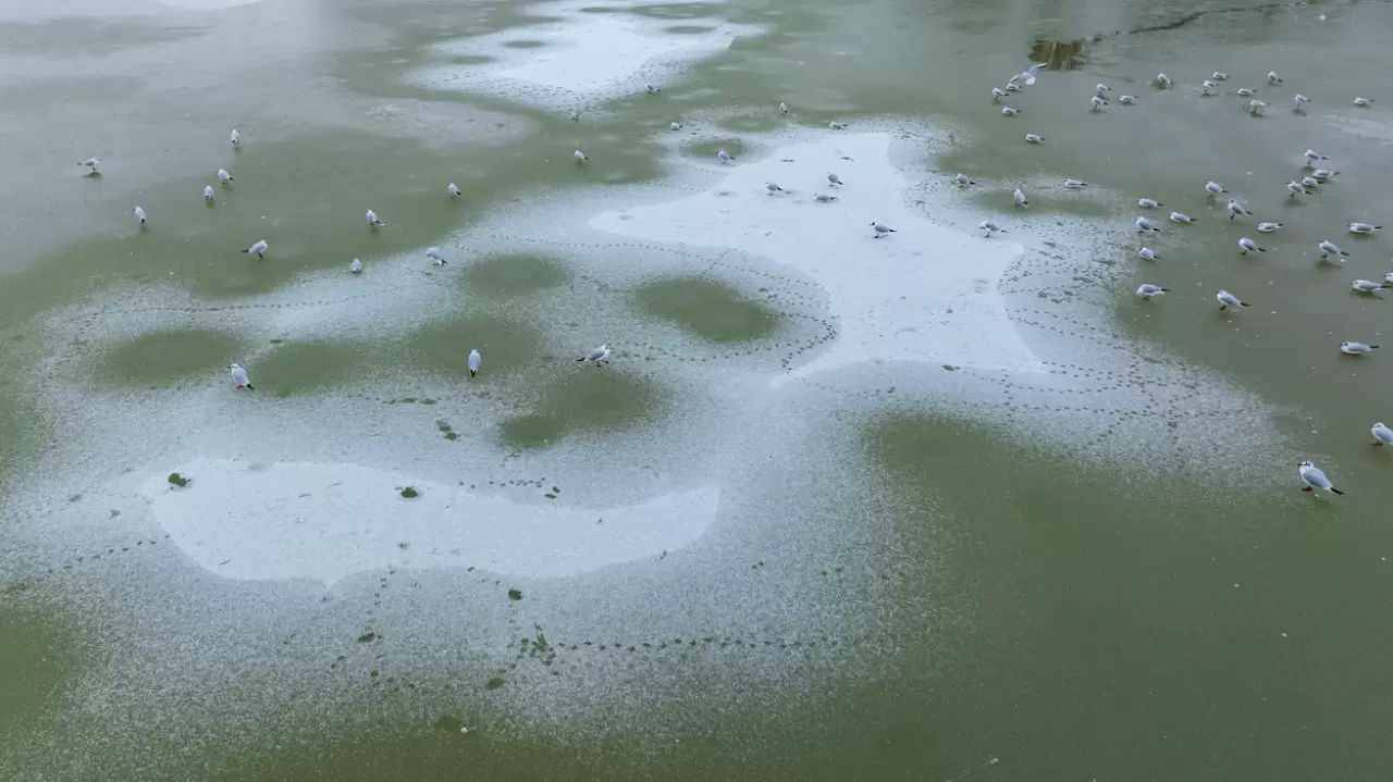 Ankara’da Mogan Gölü dondu 30