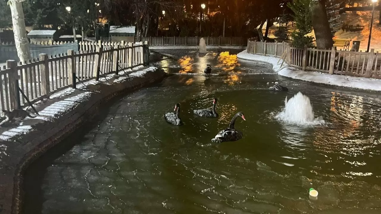 Başkentte ayaz alarmı: Termometreler eksi 11’i gördü, Kuğulu Park dondu 2