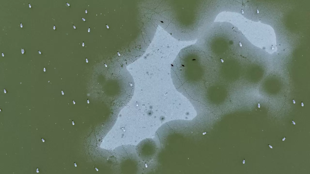 Ankara’da Mogan Gölü dondu 23