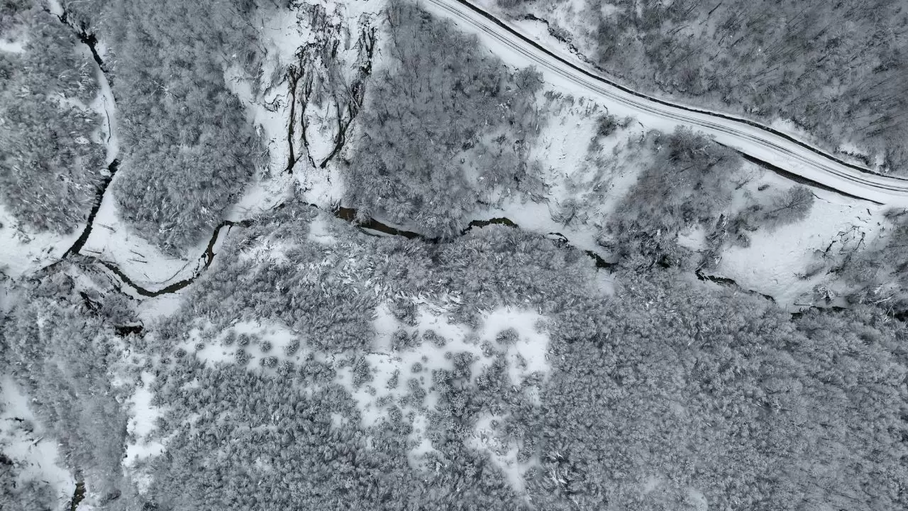 Dronla havadan izleyin: Sinop’un karla kaplı ormanları nefes kesti! 1