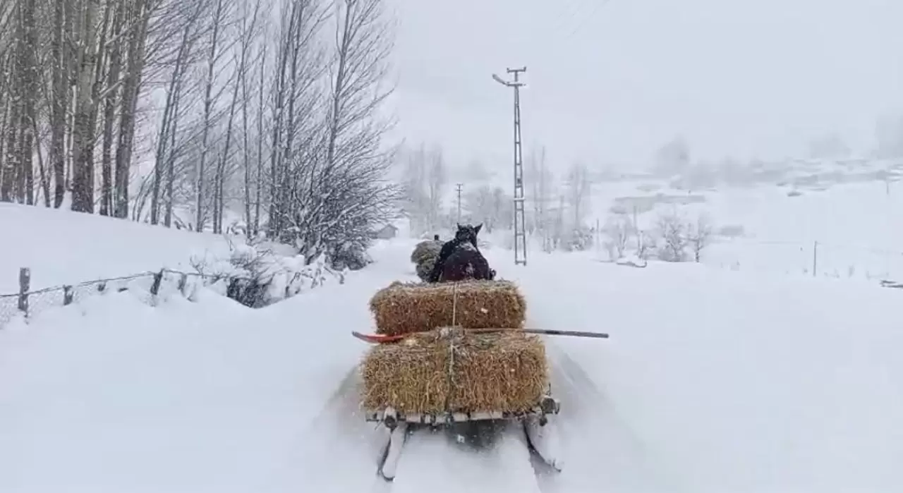 Karlıova'da ağır kış şartları besicileri zor durumda bıraktı 3