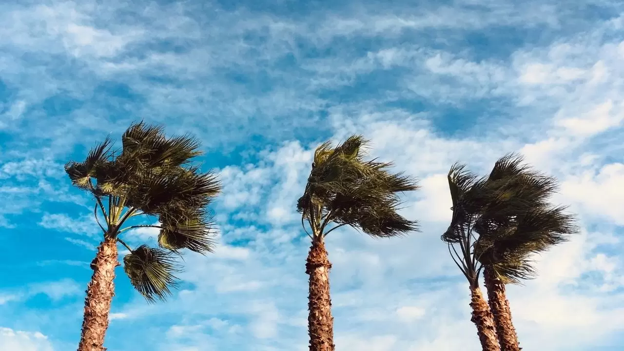 Yurt genelinde bulutlu hava hakim: İç kesimlerde kar bekleniyor 4