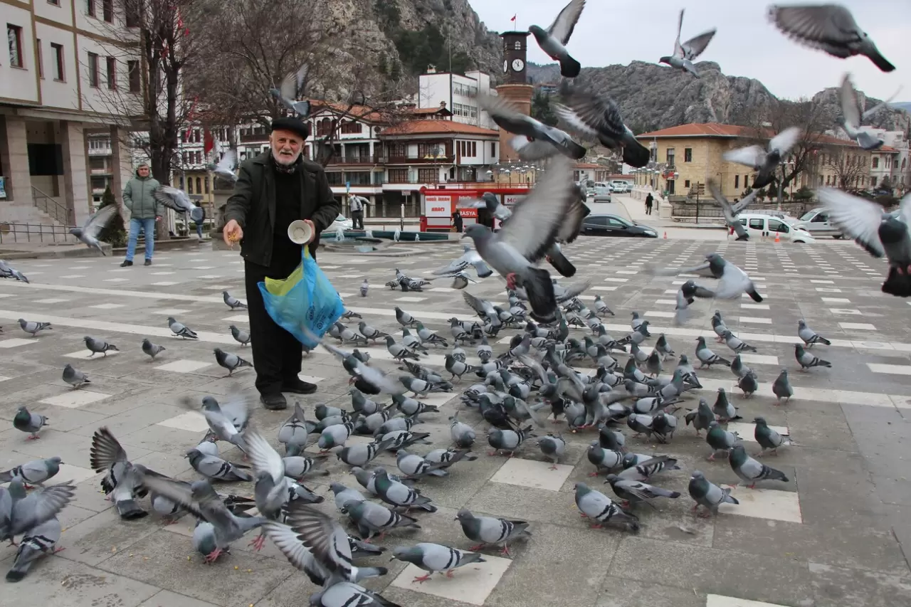 84 yaşındaki “Yemci Dede” 20 yıldır sokak güvercinlerini besliyor 2