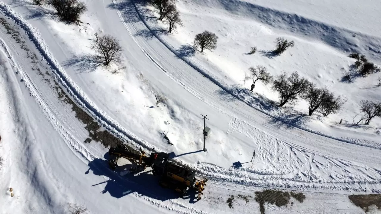 Elazığ’da kar altında hayvanlara destek seferberliği: Sokaklar mama dolu! 4