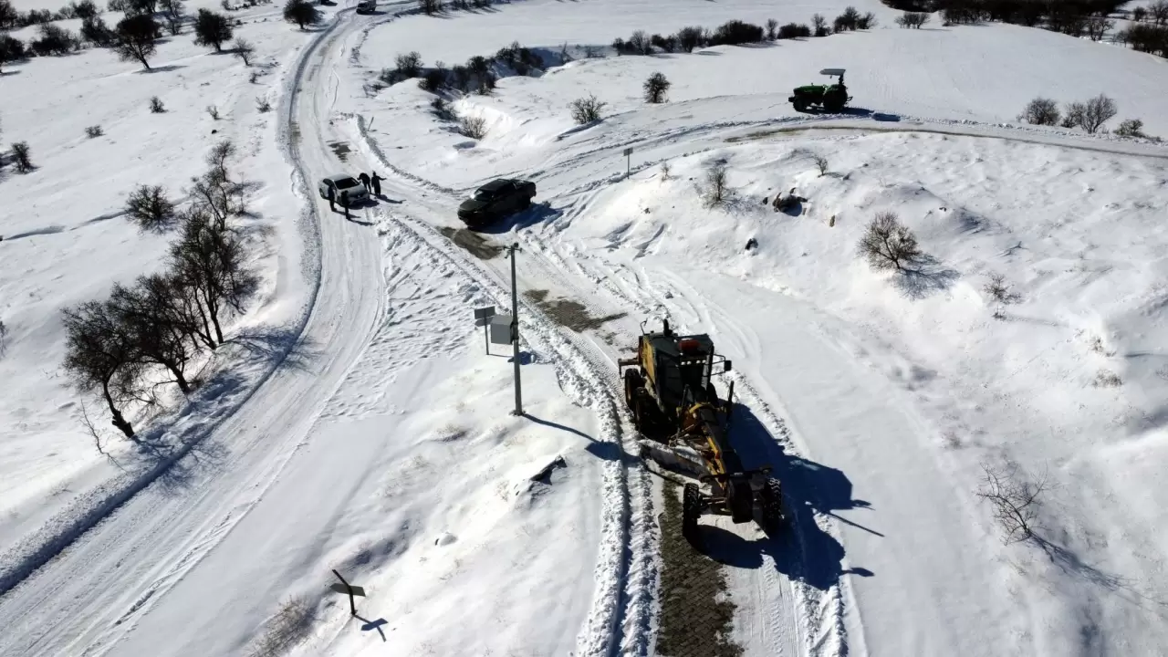 Elazığ’da kar altında hayvanlara destek seferberliği: Sokaklar mama dolu! 5
