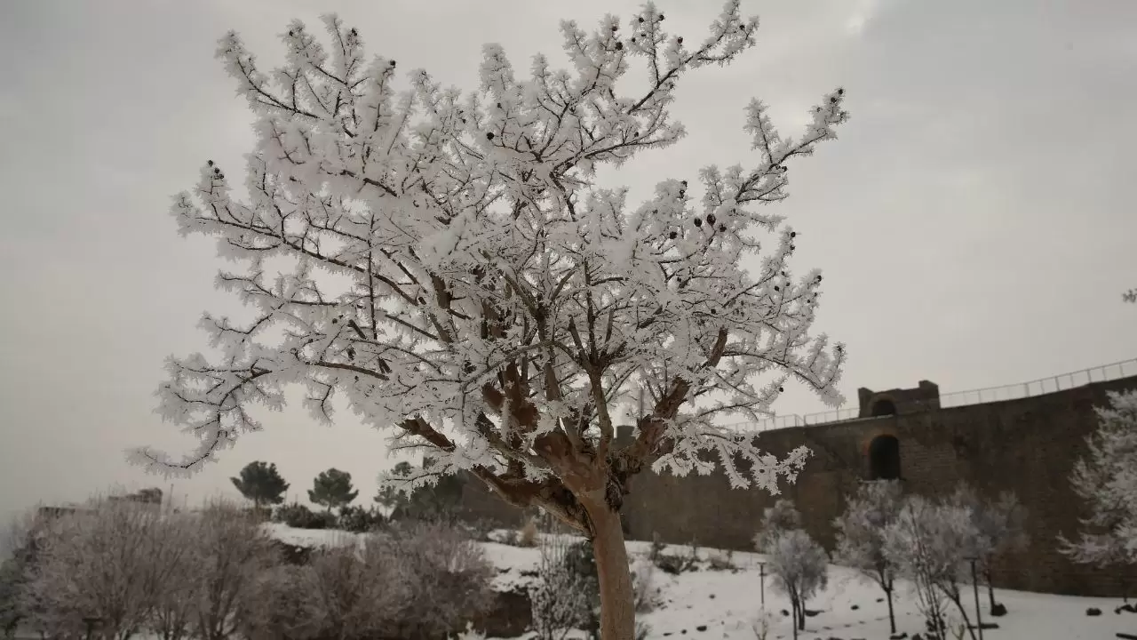Diyarbakır’da görüş mesafesi metrelere düştü 3