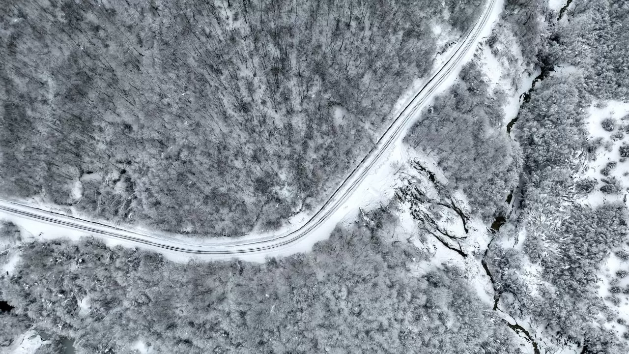 Dronla havadan izleyin: Sinop’un karla kaplı ormanları nefes kesti! 2
