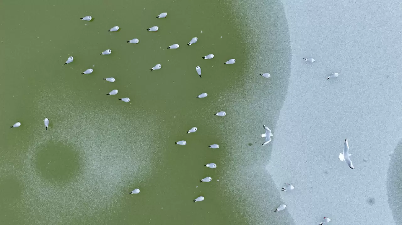 Ankara’da Mogan Gölü dondu 17