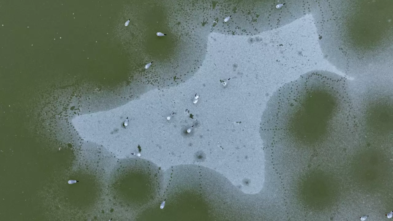 Ankara’da Mogan Gölü dondu 31