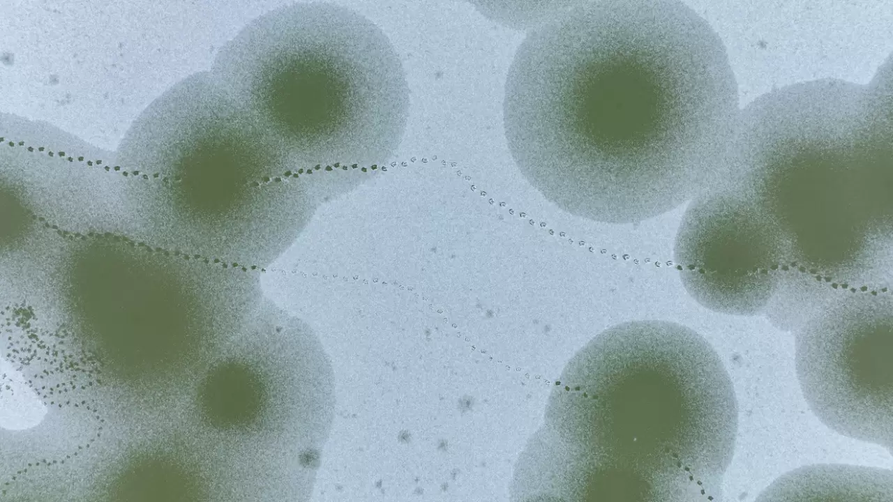 Ankara’da Mogan Gölü dondu 5