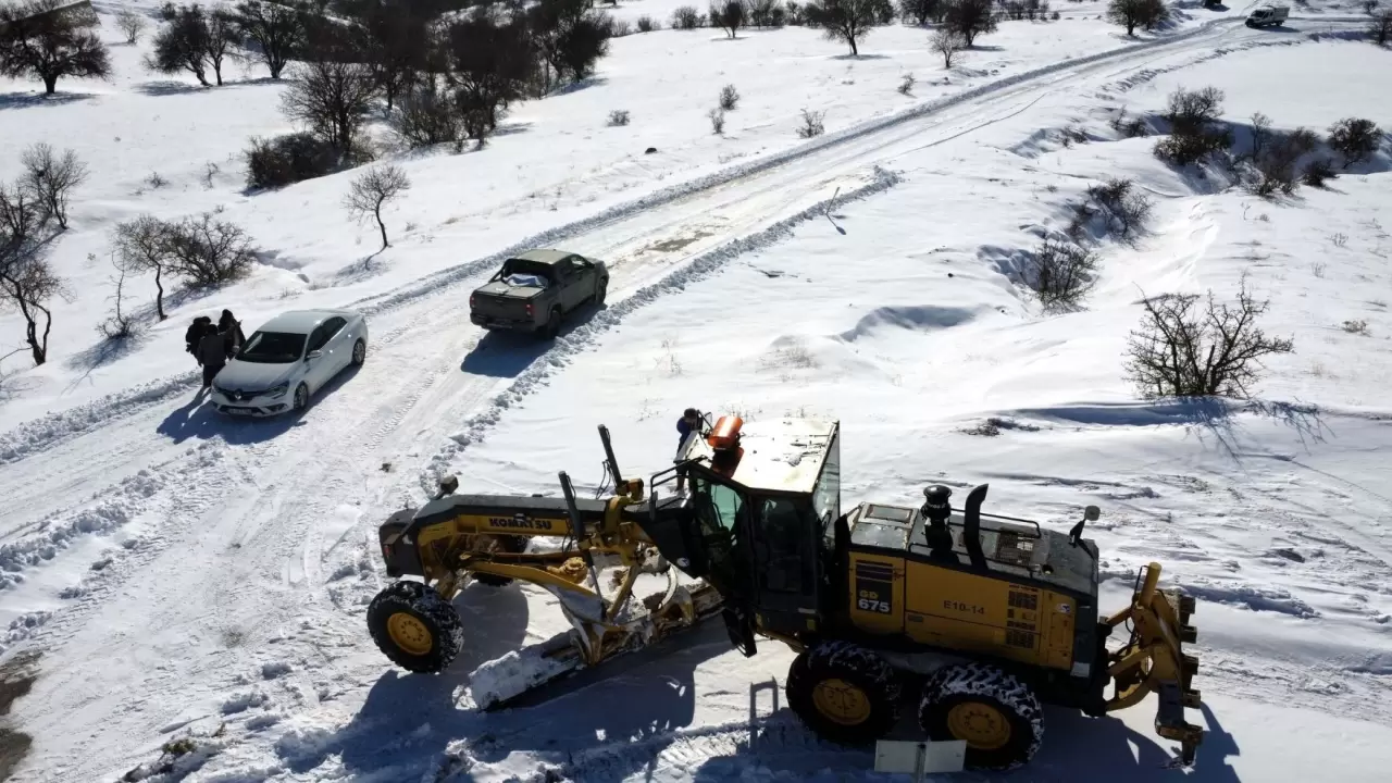 Elazığ’da kar altında hayvanlara destek seferberliği: Sokaklar mama dolu! 8