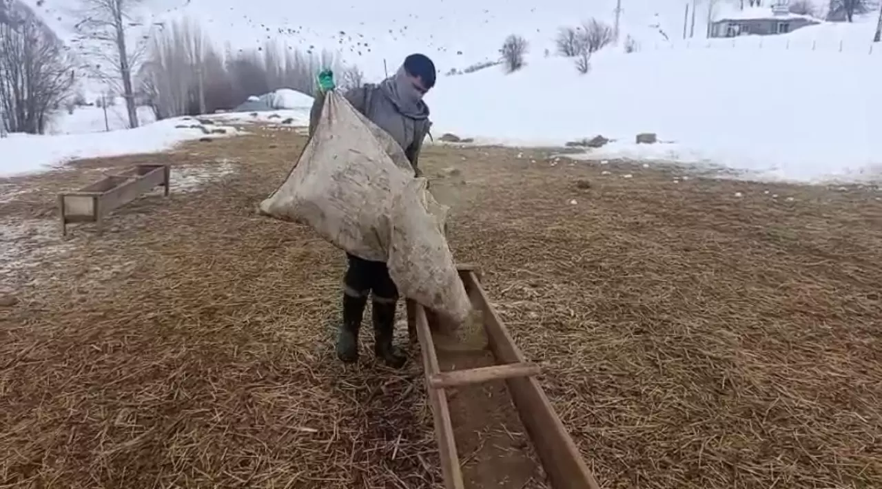 Karlıova'da ağır kış şartları besicileri zor durumda bıraktı 5