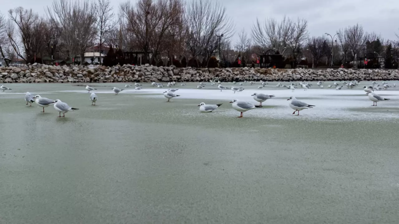 Ankara’da Mogan Gölü dondu 29