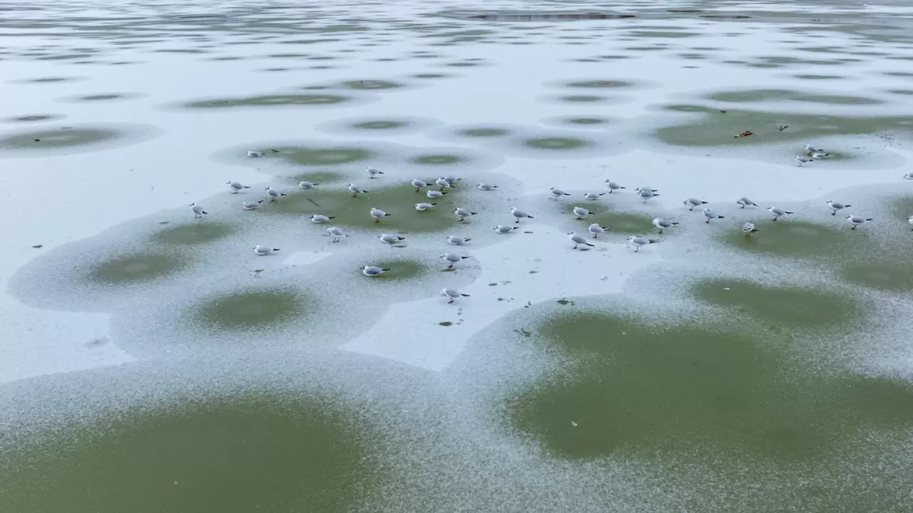 Ankara’da Mogan Gölü dondu 15