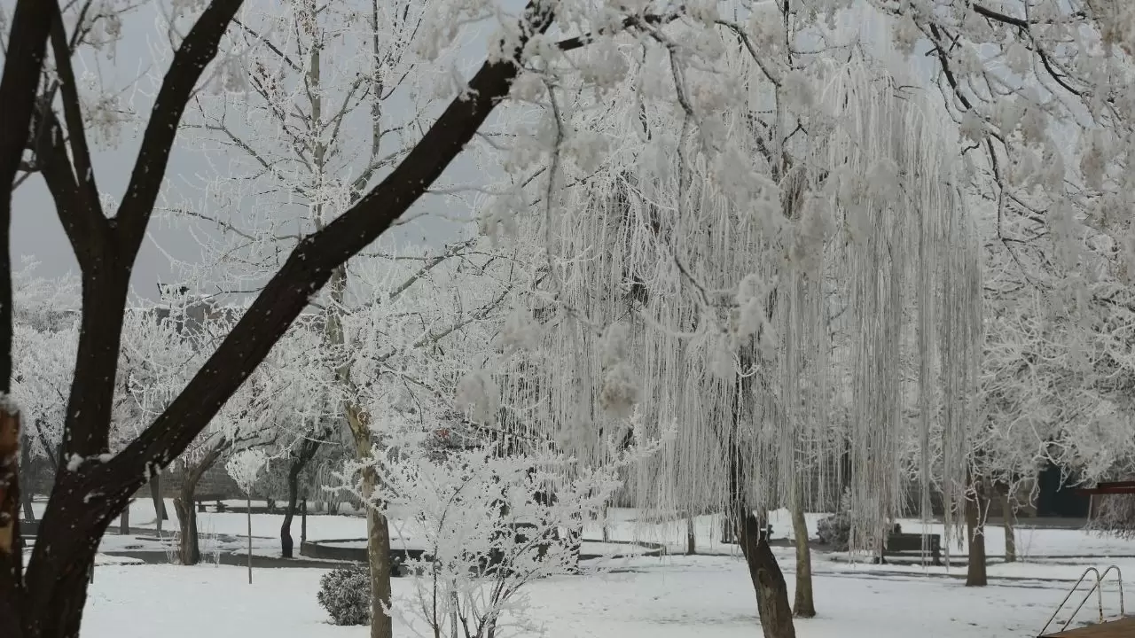 Diyarbakır’da görüş mesafesi metrelere düştü 1