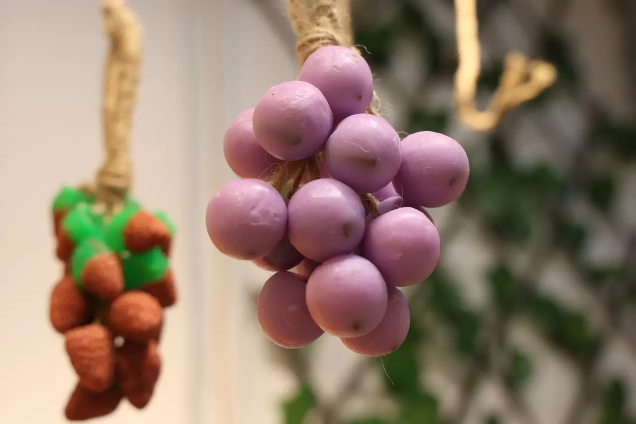 Elazığlı kadın girişimci başarı hikayesiyle örnek oluyor 8