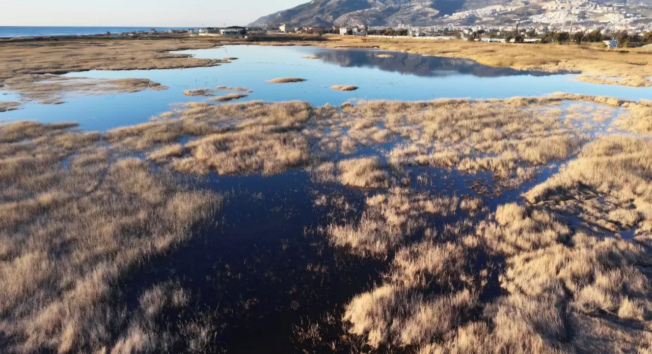 Tamamen kuruyan Milleyha yeniden hayat buldu! 4