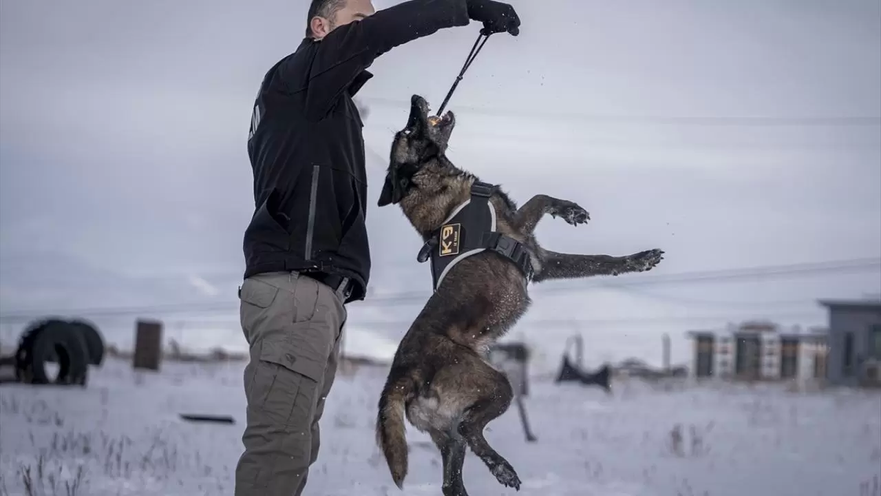 Erzurum'da polis köpekleri için yüksek irtifa eğitim üssü kuruldu 3