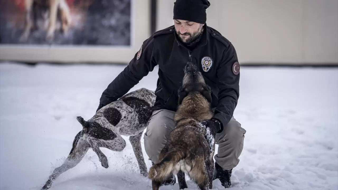 Erzurum'da polis köpekleri için yüksek irtifa eğitim üssü kuruldu 7