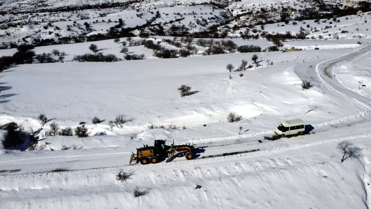 Elazığ’da kar altında hayvanlara destek seferberliği: Sokaklar mama dolu! 1