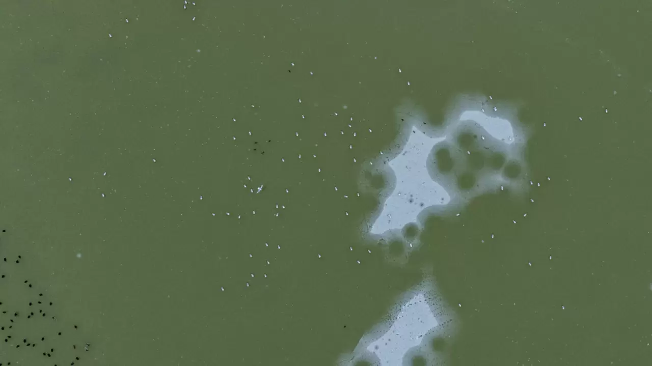 Ankara’da Mogan Gölü dondu 22