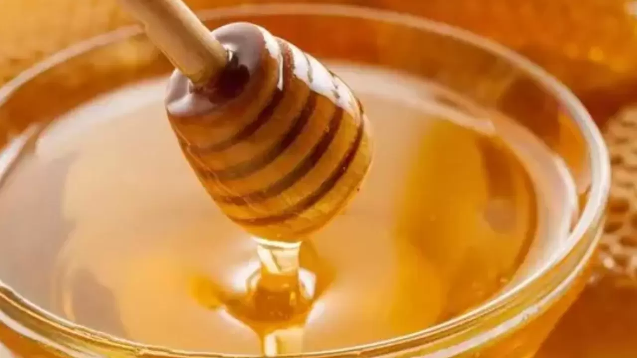 Öksürüğü bıçak gibi kesen tek kür; Sadece İbni Sina değil Canan Karatay da öneriyor. 2