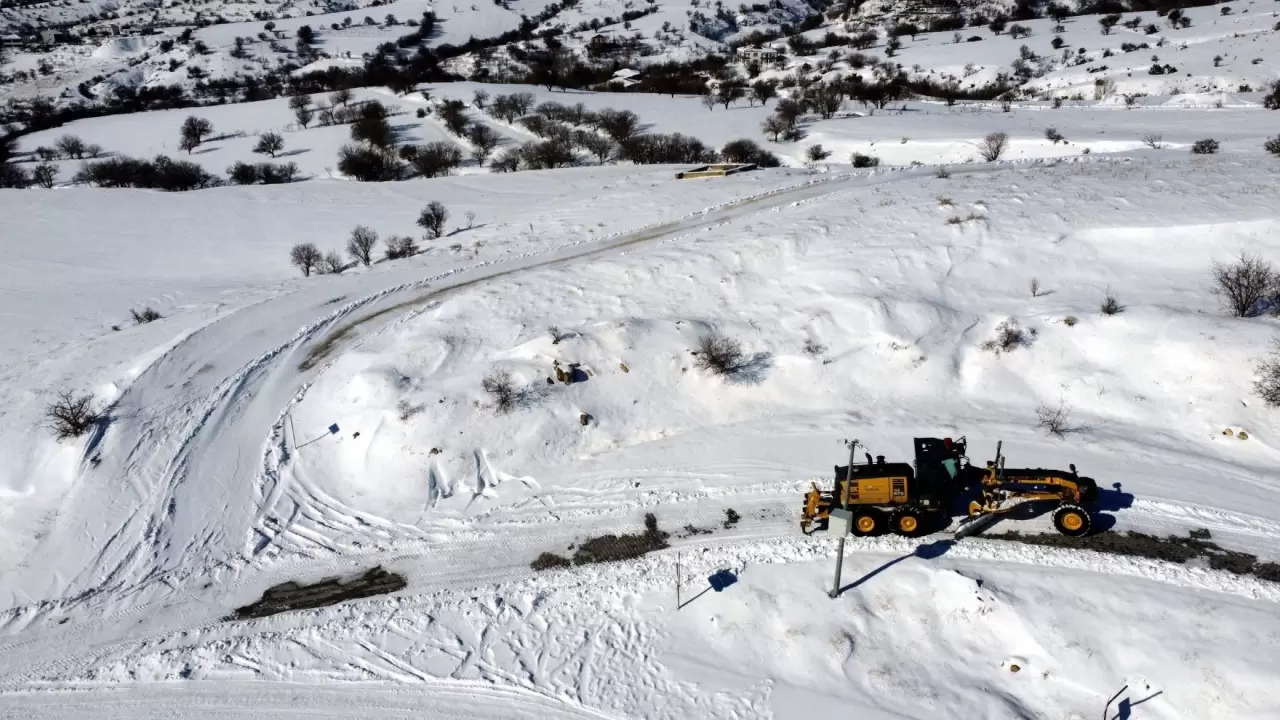 Elazığ’da kar altında hayvanlara destek seferberliği: Sokaklar mama dolu! 6