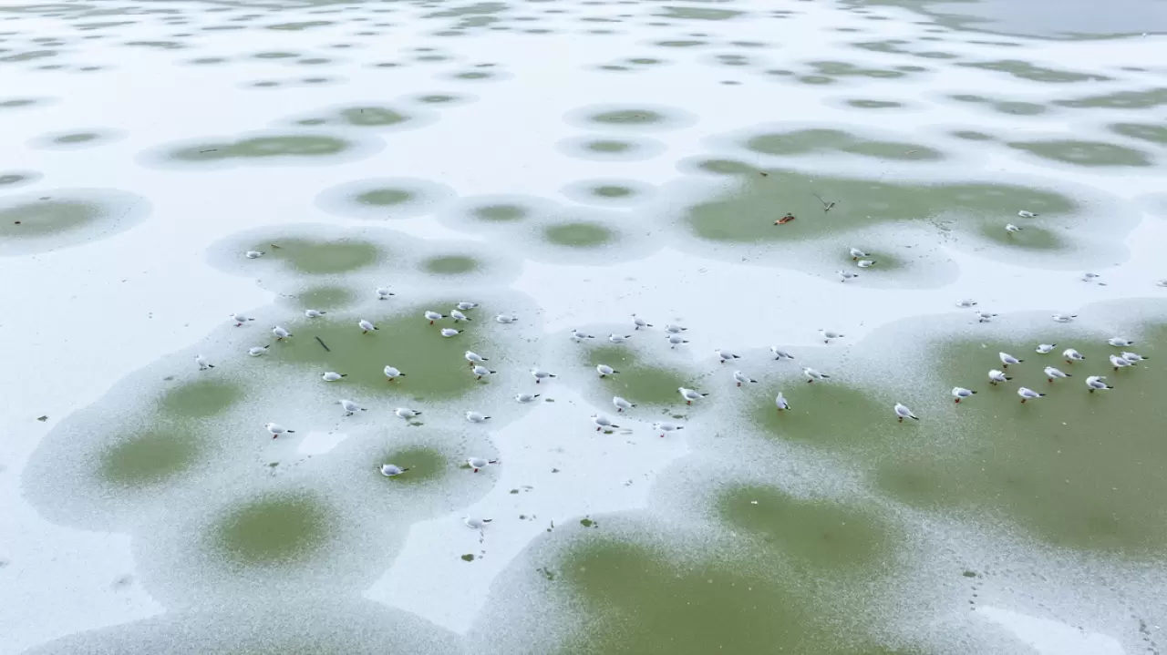 Ankara’da Mogan Gölü dondu 14