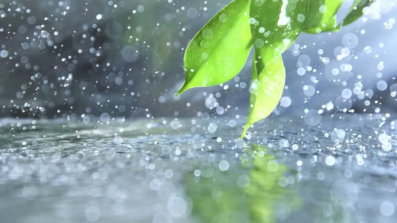 Türkiye genelinde yağış, don ve kuvvetli rüzgar uyarısı 1