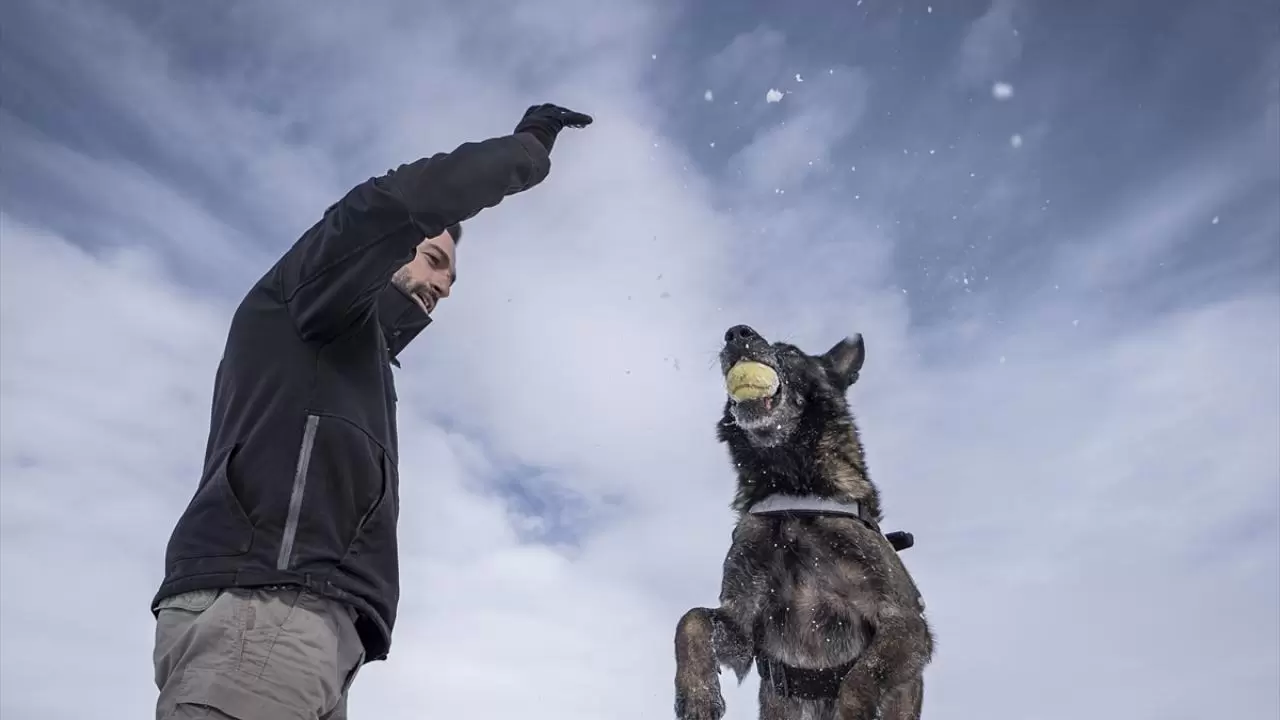 Erzurum'da polis köpekleri için yüksek irtifa eğitim üssü kuruldu 2