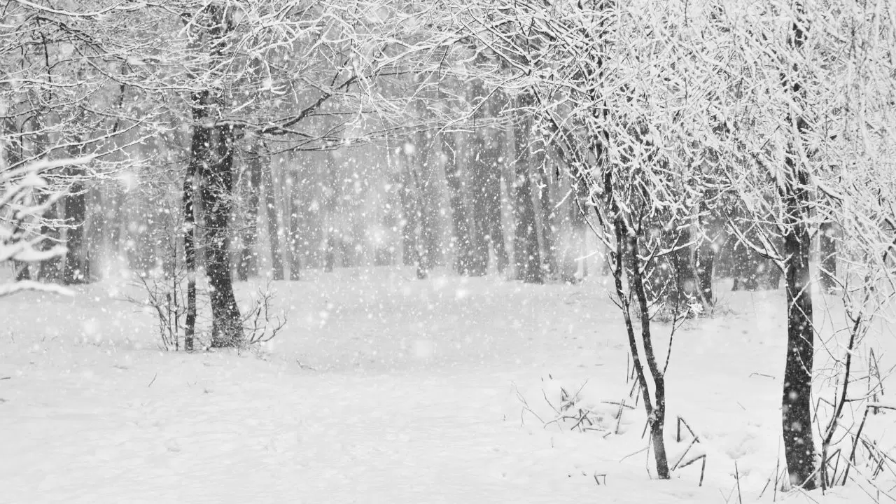 Türkiye alarmda! Kar ve fırtına geliyor, bu şehirlerde hayat duracak! 2