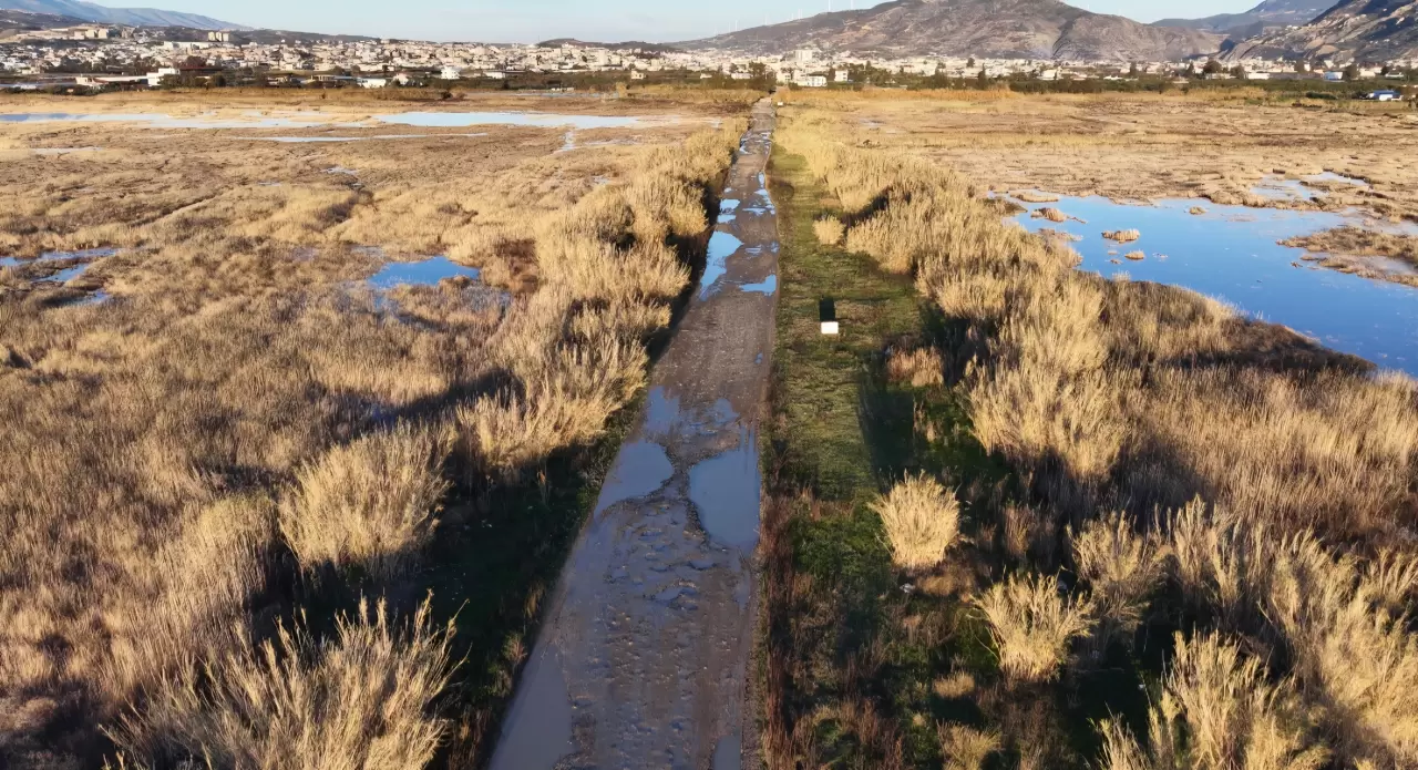 Tamamen kuruyan Milleyha yeniden hayat buldu! 1