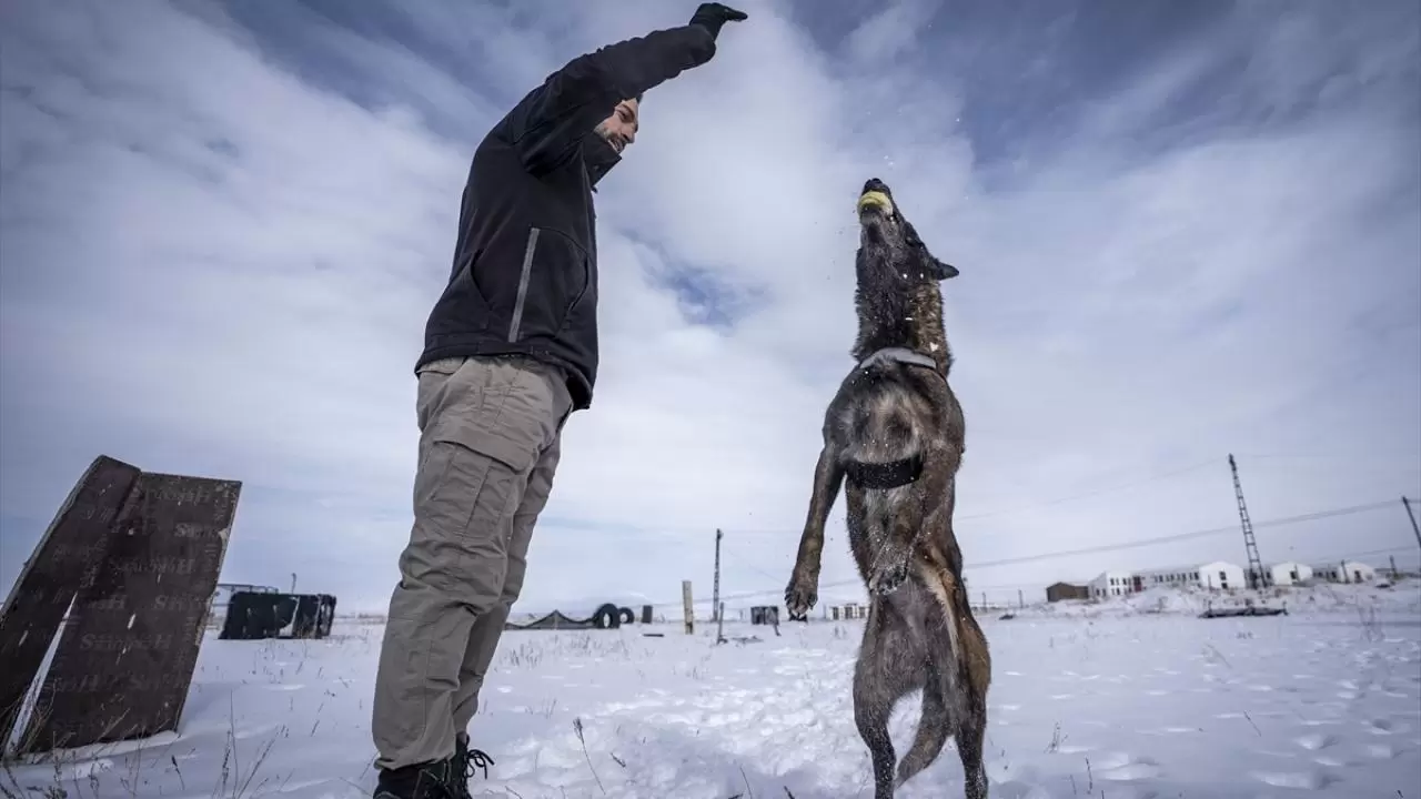 Erzurum'da polis köpekleri için yüksek irtifa eğitim üssü kuruldu 13