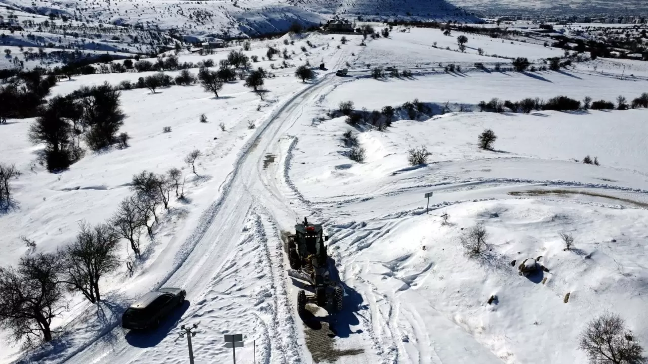 Elazığ’da kar altında hayvanlara destek seferberliği: Sokaklar mama dolu! 3