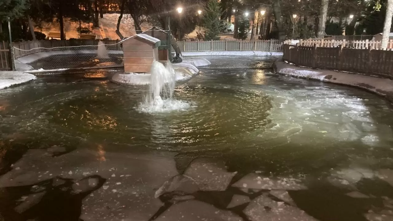 Başkentte ayaz alarmı: Termometreler eksi 11’i gördü, Kuğulu Park dondu 3