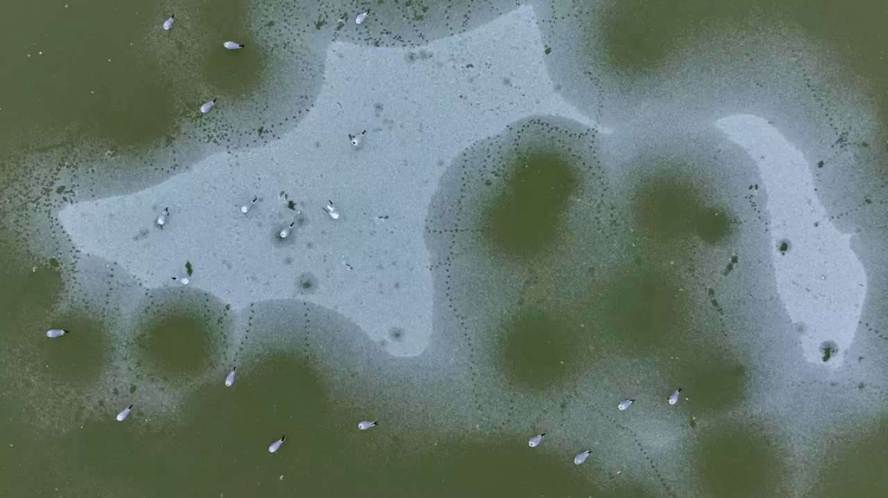 Ankara’da Mogan Gölü dondu 32