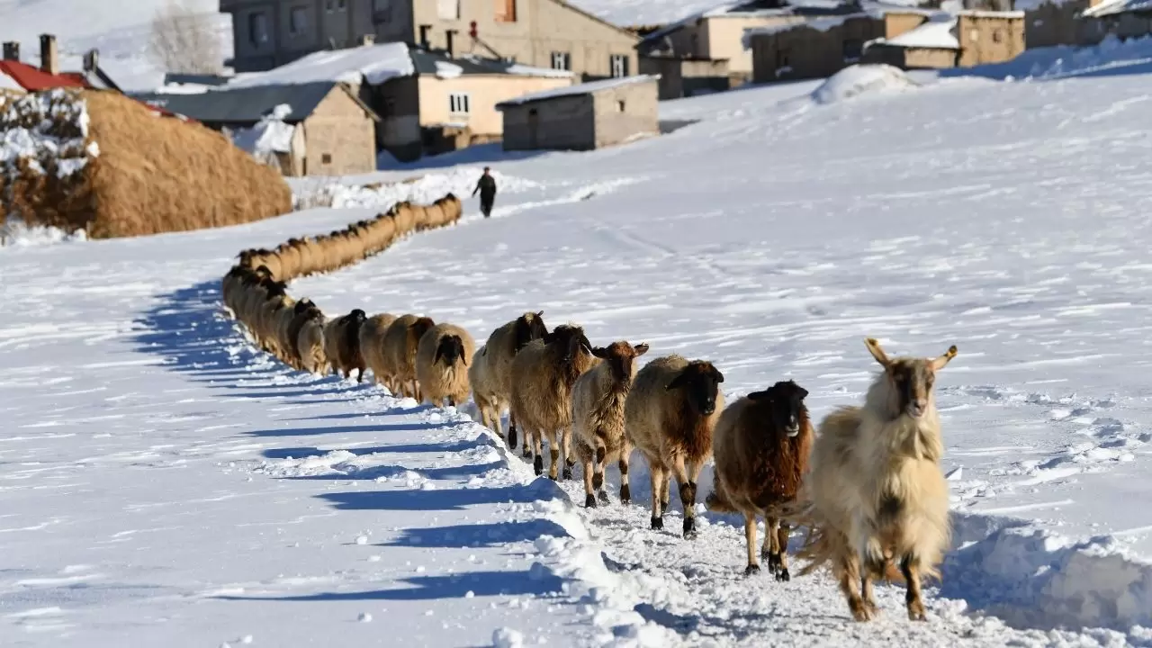 Van’da Kış Sert yüzünü gösterdi: Çatak’ta günlük yaşam dondu 6