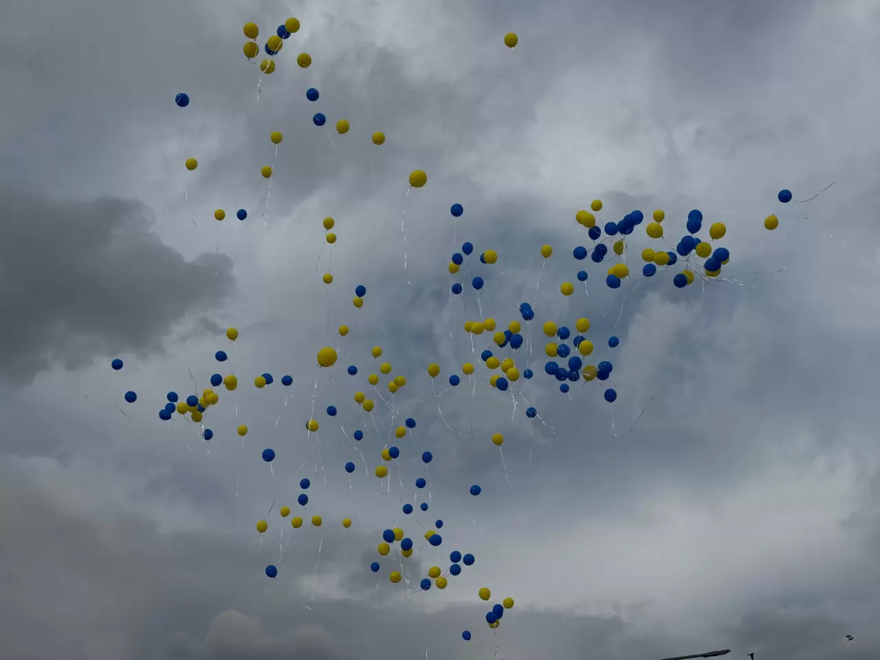 3 yaşındaki Afra için gökyüzüne umut balonları uçtu 7