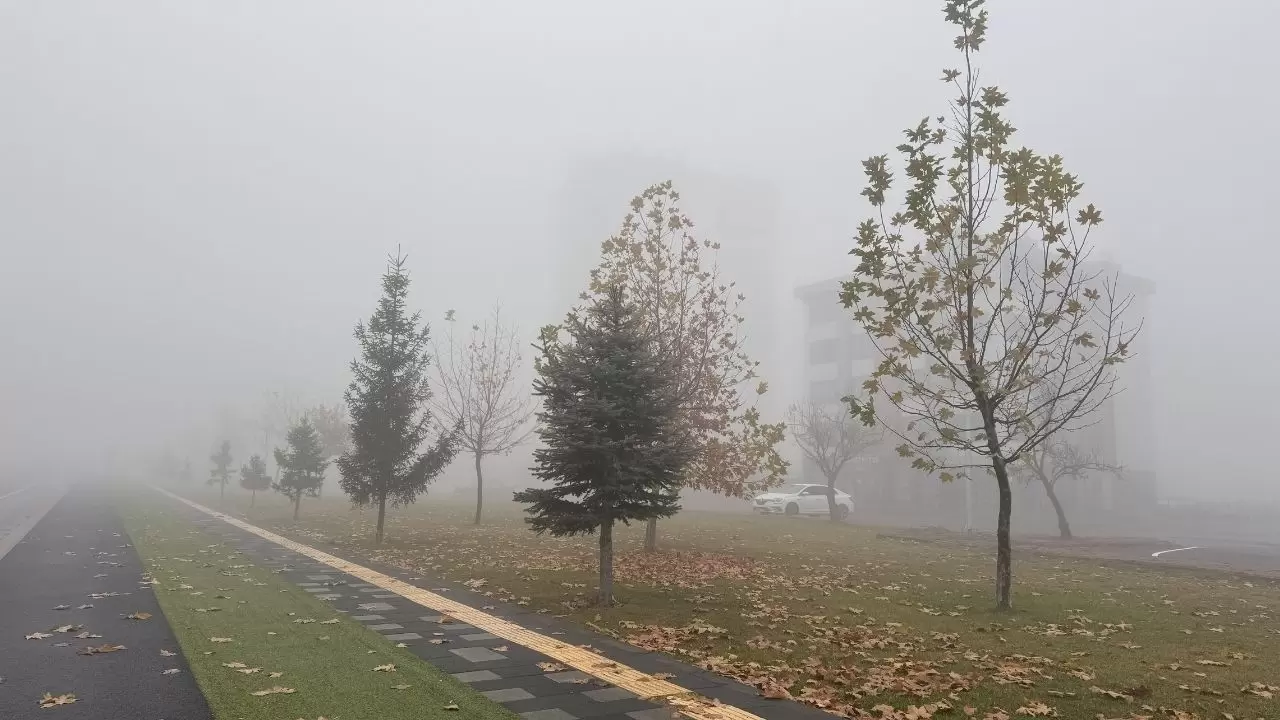 Meteoroloji’den son dakika: Kıyı Ege'de fırtına, Doğu'da çığ alarmı! (21 Ocak) 9
