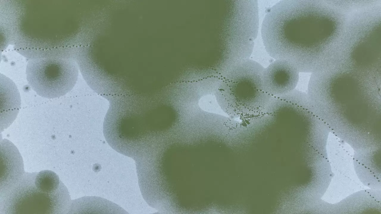 Ankara’da Mogan Gölü dondu 6