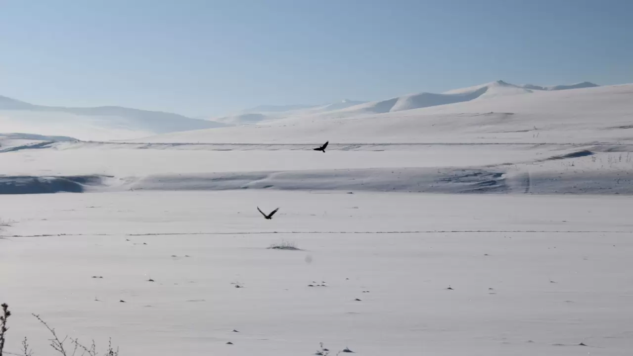 Dondurucu soğuklar Doğu’yu esir aldı: Evler, arabalar ve yollar buz pistine döndü 7