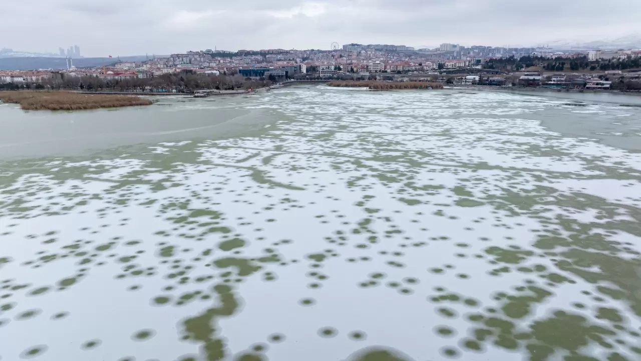 Ankara’da Mogan Gölü dondu 21