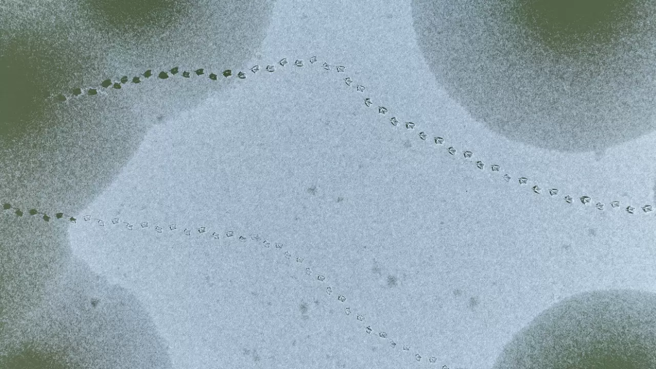 Ankara’da Mogan Gölü dondu 4