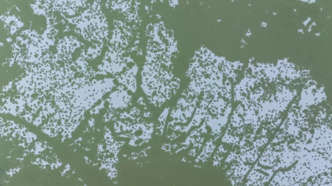 Ankara’da Mogan Gölü dondu 7