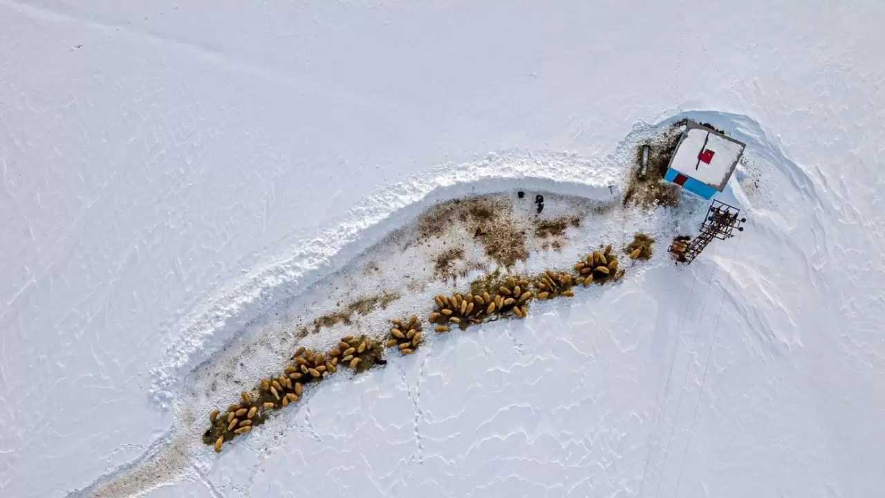 Van’da Kış Sert yüzünü gösterdi: Çatak’ta günlük yaşam dondu 7